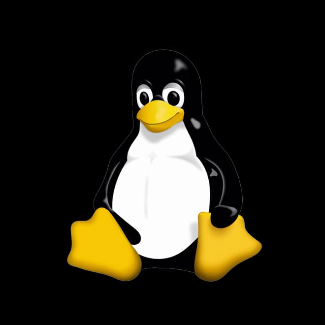 Professional Avatar